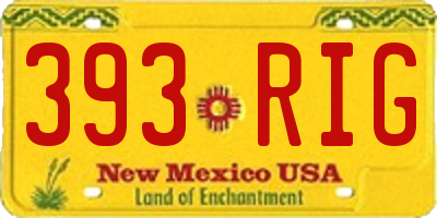 NM license plate 393RIG