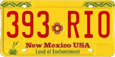 NM license plate 393RIO