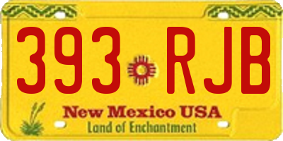 NM license plate 393RJB