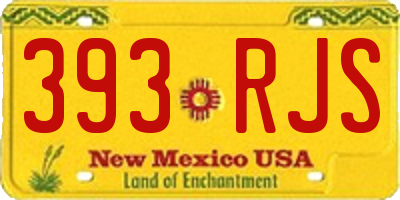 NM license plate 393RJS