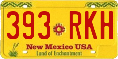 NM license plate 393RKH