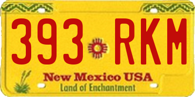 NM license plate 393RKM