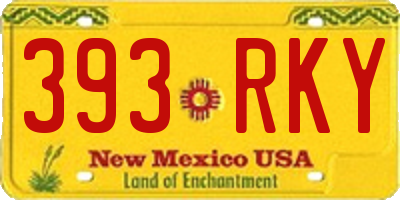 NM license plate 393RKY