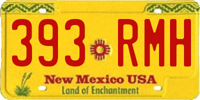 NM license plate 393RMH