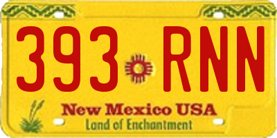 NM license plate 393RNN