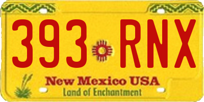 NM license plate 393RNX