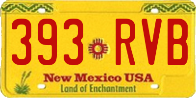 NM license plate 393RVB