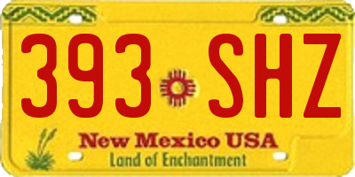 NM license plate 393SHZ