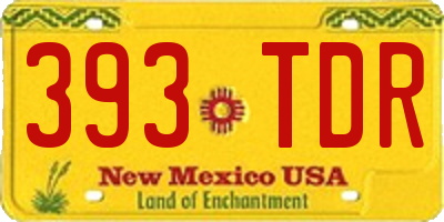NM license plate 393TDR