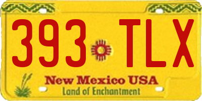 NM license plate 393TLX