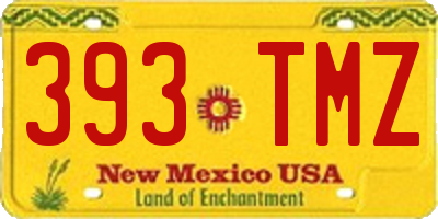 NM license plate 393TMZ