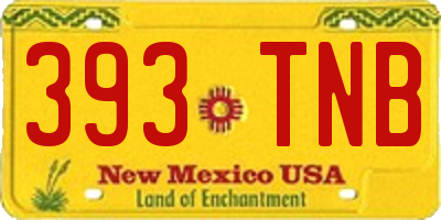 NM license plate 393TNB