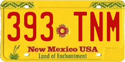 NM license plate 393TNM