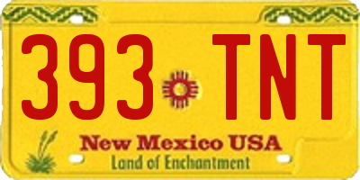 NM license plate 393TNT