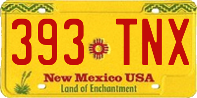 NM license plate 393TNX