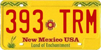 NM license plate 393TRM