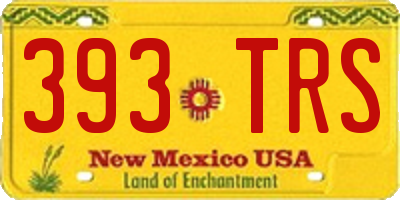 NM license plate 393TRS