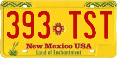 NM license plate 393TST