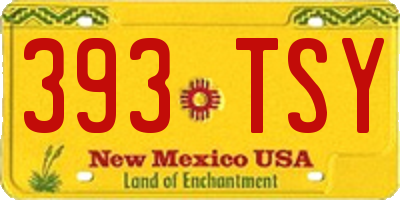 NM license plate 393TSY