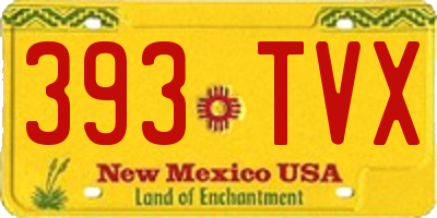 NM license plate 393TVX