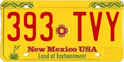 NM license plate 393TVY
