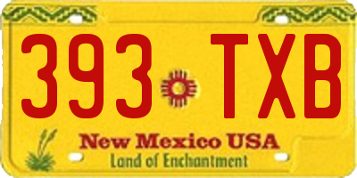 NM license plate 393TXB