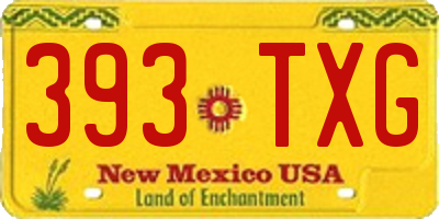 NM license plate 393TXG
