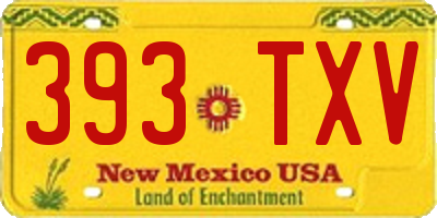 NM license plate 393TXV
