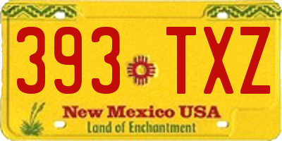 NM license plate 393TXZ