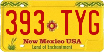 NM license plate 393TYG