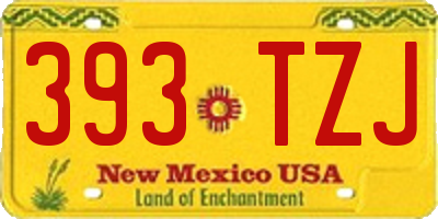 NM license plate 393TZJ