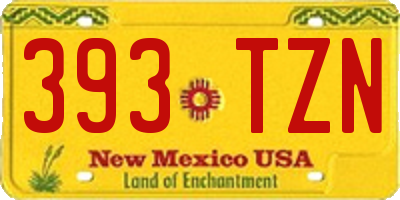 NM license plate 393TZN
