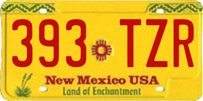 NM license plate 393TZR