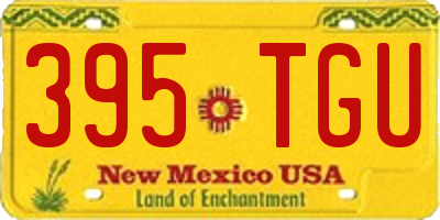 NM license plate 395TGU