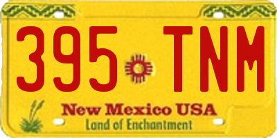 NM license plate 395TNM