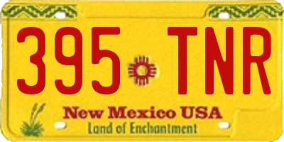 NM license plate 395TNR