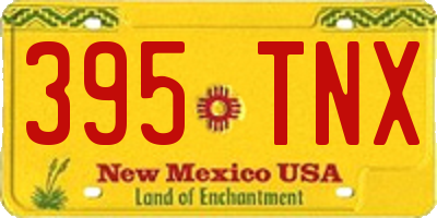 NM license plate 395TNX