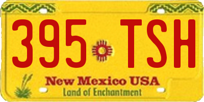 NM license plate 395TSH