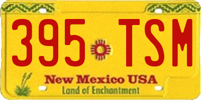 NM license plate 395TSM