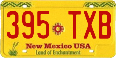 NM license plate 395TXB