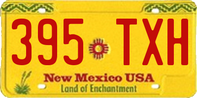NM license plate 395TXH