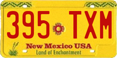 NM license plate 395TXM