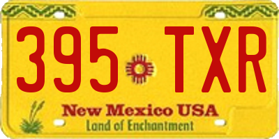 NM license plate 395TXR