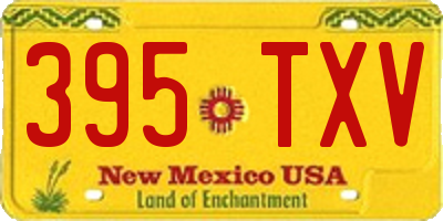 NM license plate 395TXV