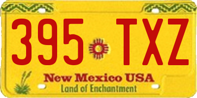 NM license plate 395TXZ