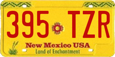 NM license plate 395TZR