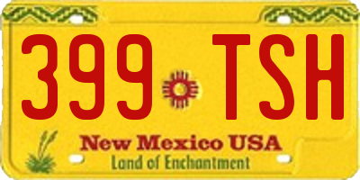 NM license plate 399TSH