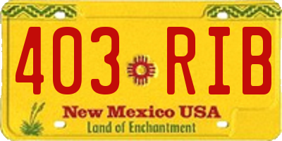 NM license plate 403RIB