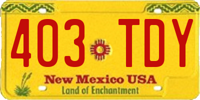 NM license plate 403TDY