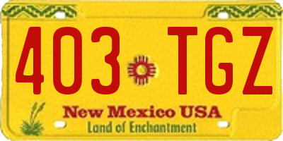 NM license plate 403TGZ